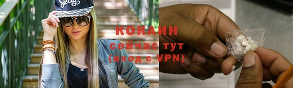 гашик Наволоки