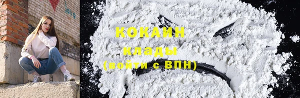 дживик Навашино