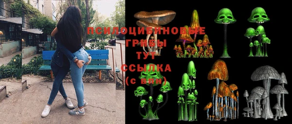 гашик Наволоки